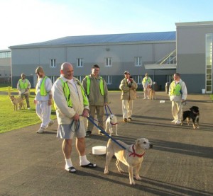 freedom tails prison dog adoption