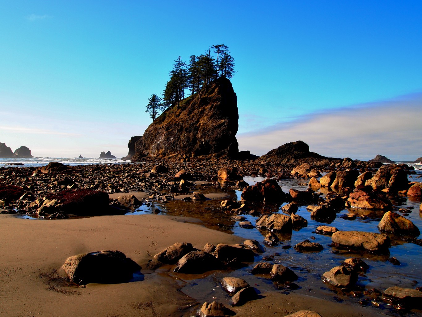 Ruby Beach Wa Tide Chart