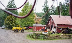 A tractor pulls alngside a barn recently on the property of Elma farmer Jay Gordon. The barn serves as Gordon's grainery and storage facility.