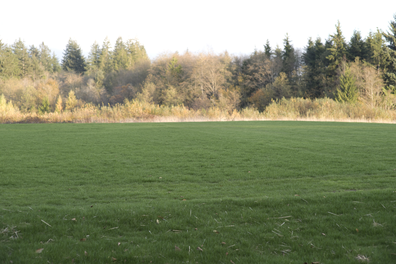 Beacon Soccer Complex