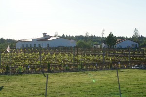 westport winery