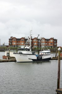 westport marina