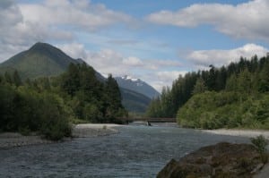 lake quinault rain forest bike ride