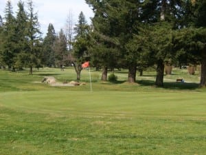 oaksridge golf elma