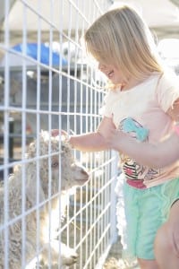 grays harbor fair