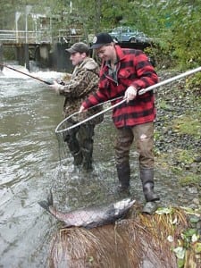 grays harbor poggie
