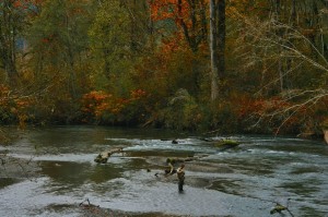 Fall river fishing. Photo credit Douglas Scott.