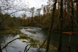 River fishing opportunities abound in Grays Harbor. Photo Credit Douglas Scott.