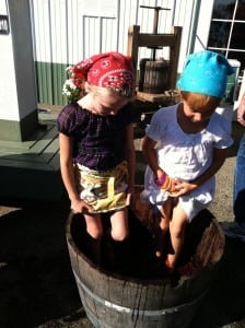 Crush Me, Squeeze Me, Make Me Wine at the Beach Festival takes place on Sunday, October 5, from noon to 4:00.p.m.