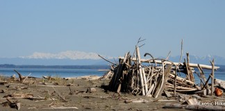 damon point