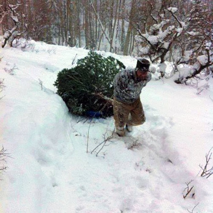 Dragging a Christmas Tree. Image courtesy of the US Forest Service christmas tree national forest