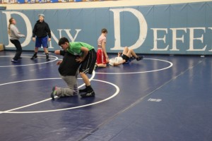 elma wrestling