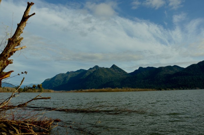 Lake Quinault quinault history