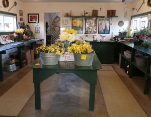 The Satsop Bulb Farm sells 45 varieties of daffodils and 30 varieties of tulips.