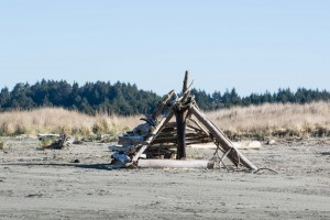 53d Beachcombers Driftwood Show @ Grayland Community Hall | Grayland | Washington | United States