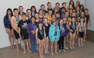 ymca swim team