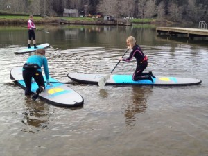 stand up paddle