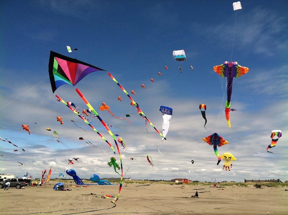 Go Fly a Kite - 6 Grays Harbor Beaches Perfect for Your Kite Flying Adventures - GraysHarborTalk