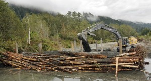 logging 3.49.21 PM
