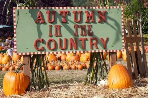 fall activities grays harbor