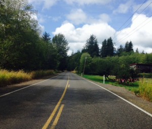 Enjoy some beautiful scenery biking along the rural Wynoochee Valley Road. Don’t be surprised if you spot elk, deer and other wildlife along the way.