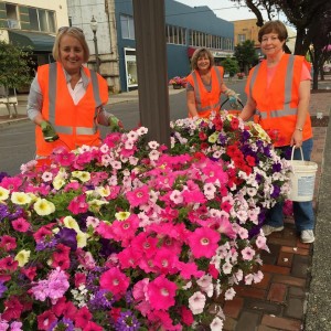 bloom team aberdeen