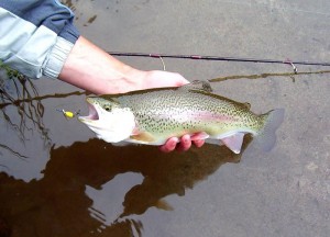 fishing grays harbor