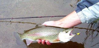 fishing grays harbor