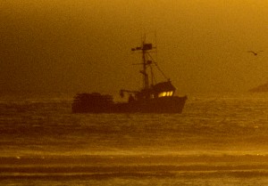 “Many of our fishermen depend on crab as well as other fish for sustenance and income," said Fawn Sharp, President of 