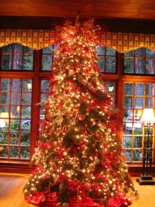 lake quinault lodge