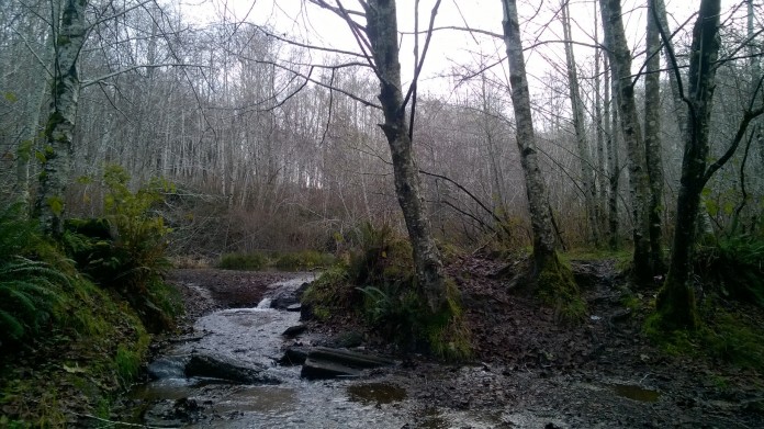 lake swano trail