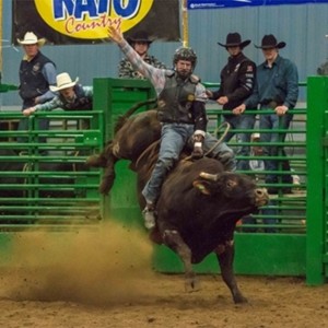 grays harbor mounted posse