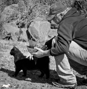 pet adoption grays harbor