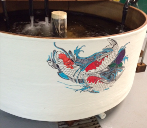 ghc fish lab