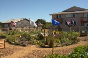 community garden beach