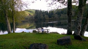 summer grays harbor