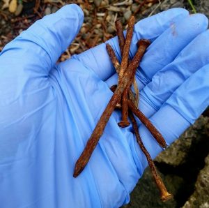 grays harbor clean-up