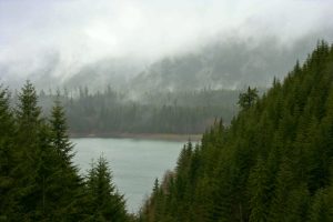 wynoochee lake