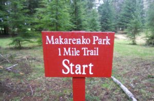makarenko park