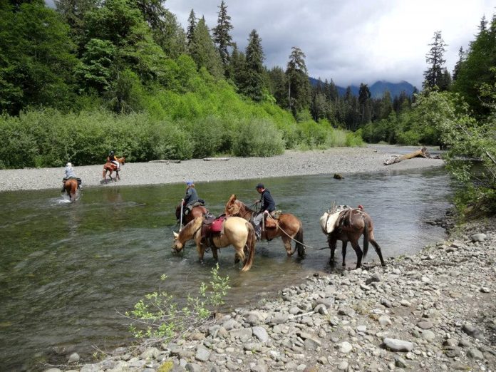 horse trail volunteer