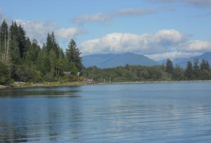 mushroom festival lake quinault