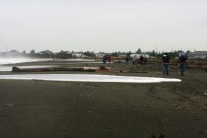 rainy day hikes grays harbor