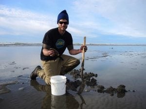 razor clams