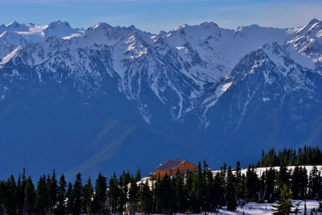 Hurricane Ridge
