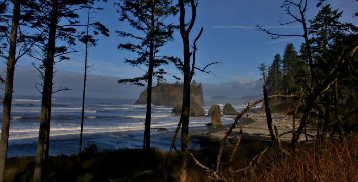 grays harbor hike