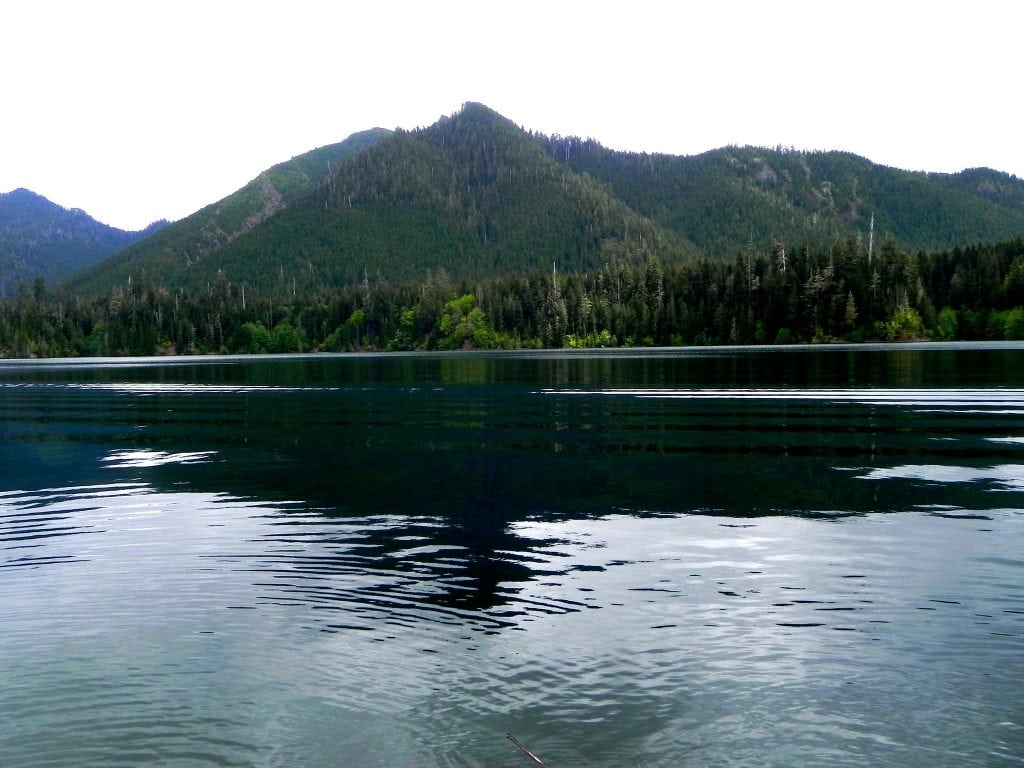 grays harbor camping