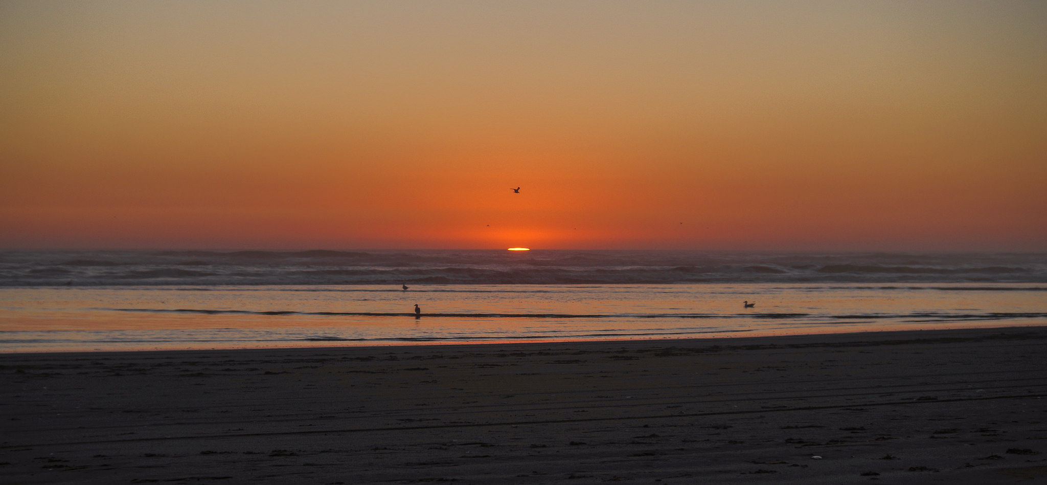 sunset viewing