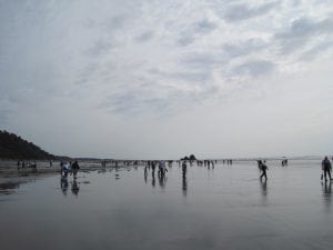 Washington Clam Digging 