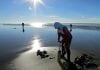 Washington Clam Digging