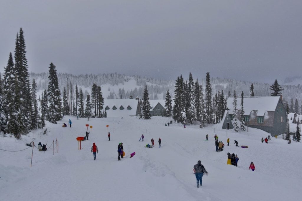 Grays Harbor Snow 